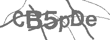 CAPTCHA Image