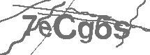 CAPTCHA Image
