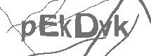 CAPTCHA Image