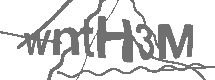CAPTCHA Image