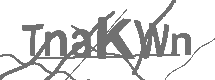 CAPTCHA Image