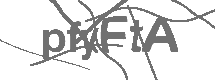 CAPTCHA Image