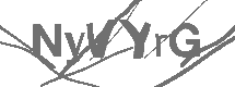 CAPTCHA Image