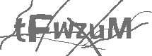 CAPTCHA Image