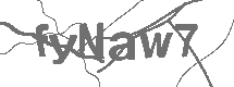 CAPTCHA Image