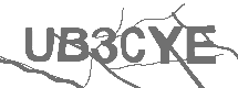CAPTCHA Image