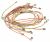 00645901 KIT CABLAGENS