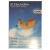 E26N 9001969287 SACO ASPIRADOR E26N 4 PCS