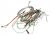 00498690 KIT CABLAGENS