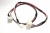 1735740300 C00959087 Motor - Termyk Kabel