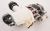 17476000A11359 Motor Umwälzpumpe