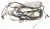 1756140100 C00880934 KABEL HARNESS GRUPPE