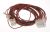 C00281986 482000023189 CABLAGEM DO BLOCA PORTAS + BOMBA