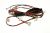 8070254019 CABLAGEM,MODULO ELECTRONICO,PO