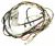 2971601900 C00935086 MAIN CABLE ASSEMBLY