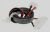 23201441 CNAS 7P-3P/110 SISW/DCUL1007AWG24+FER_(E