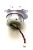 SS-2230003107 MOTEUR BROSSE LATÉRALE EQ