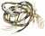 2975183200 C00881236 MAIN CABLE ASSEMBLY (BLACK_BOX_ORION)