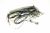 1753870501 C00911680 KABELBAUM MIT BETRIEBSLEUCHTE