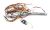 2983685800 C00930806 MAIN CABLE ASSEMBLY (APOLLO)