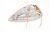 FA5170 COMPLETE PLATE WITH THERMAL FUSE 9432